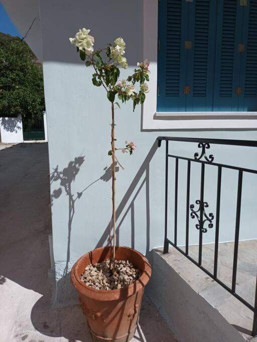 Studio Bella Epidaurus Exteriör bild